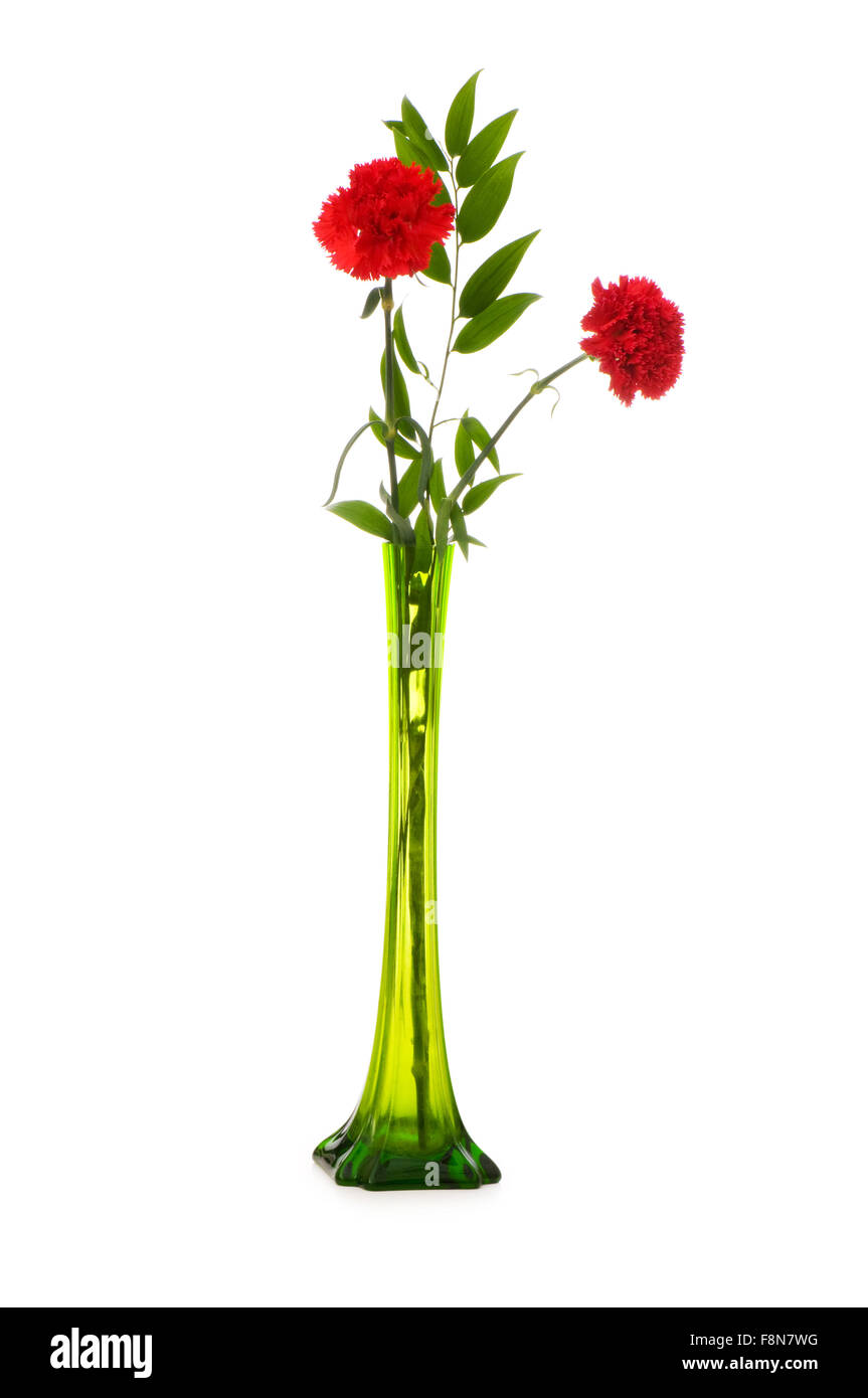 Red carnations isolated on the white background Stock Photo - Alamy