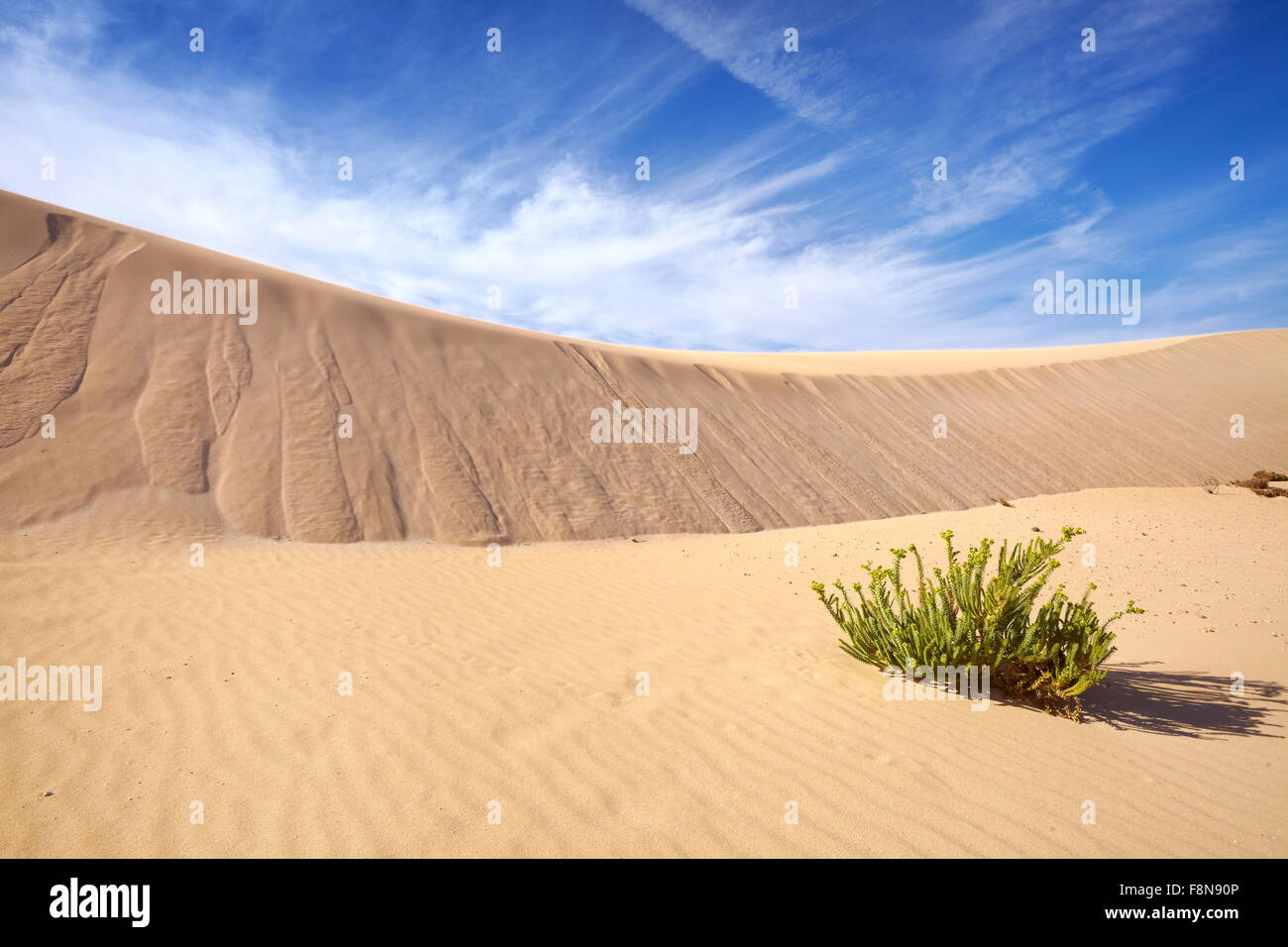 Landscape of desert sand dunes in Parque Natural de Corralejo, Canary Islands, Fuerteventura Island, Spain Stock Photo