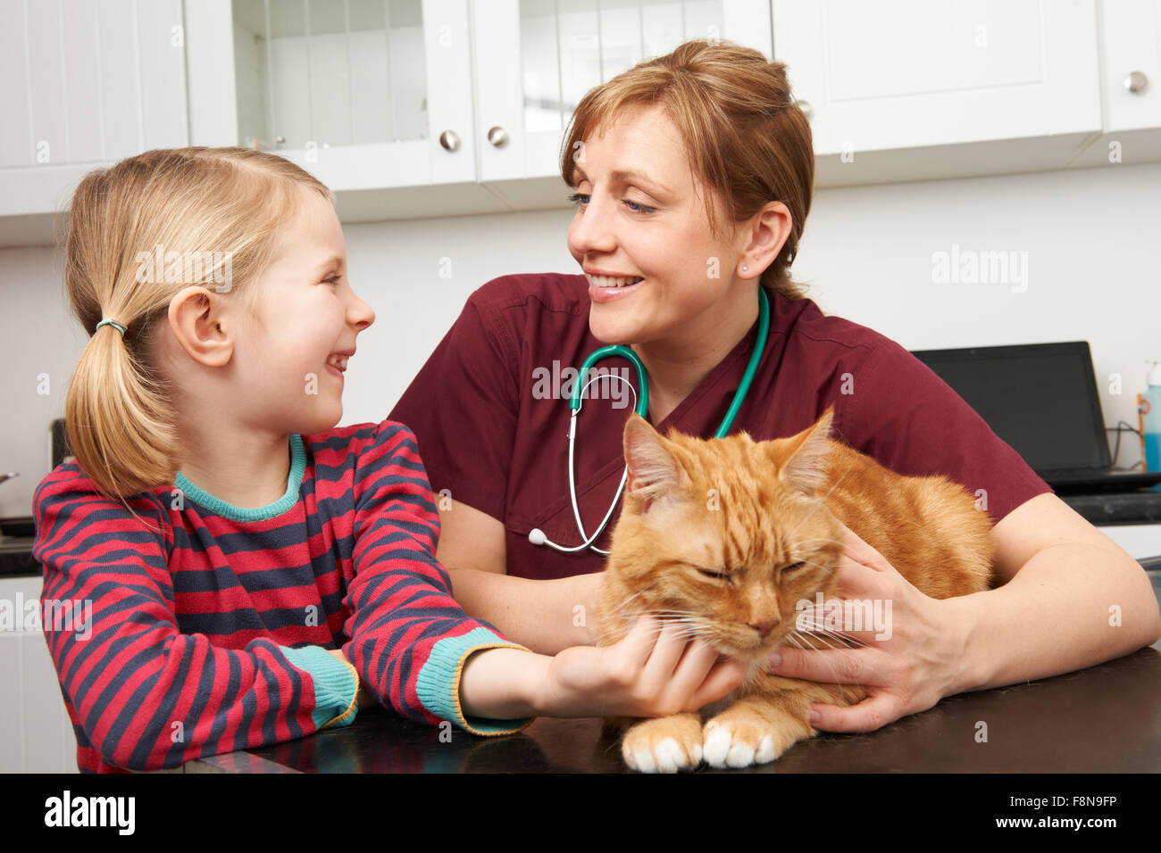 Girl Taking Pet Cat To Vet For Examination Stock Photo Alamy