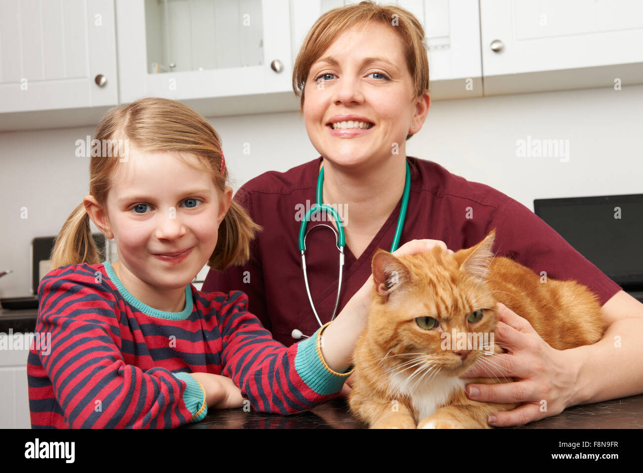 Girl Taking Pet Cat To Vet For Examination Stock Photo Alamy