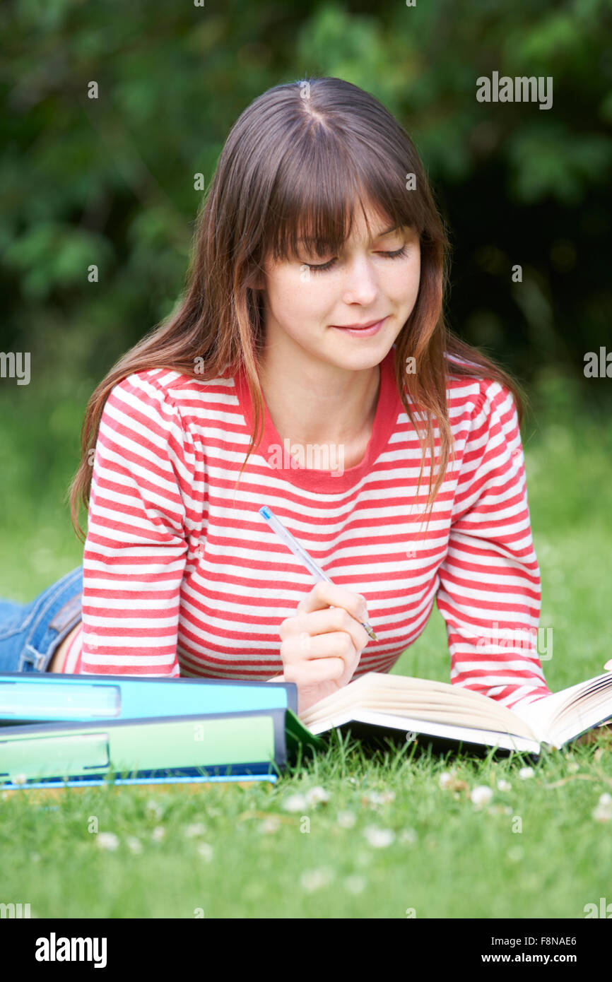 Young Female Student Studying In Park Stock Photo - Alamy