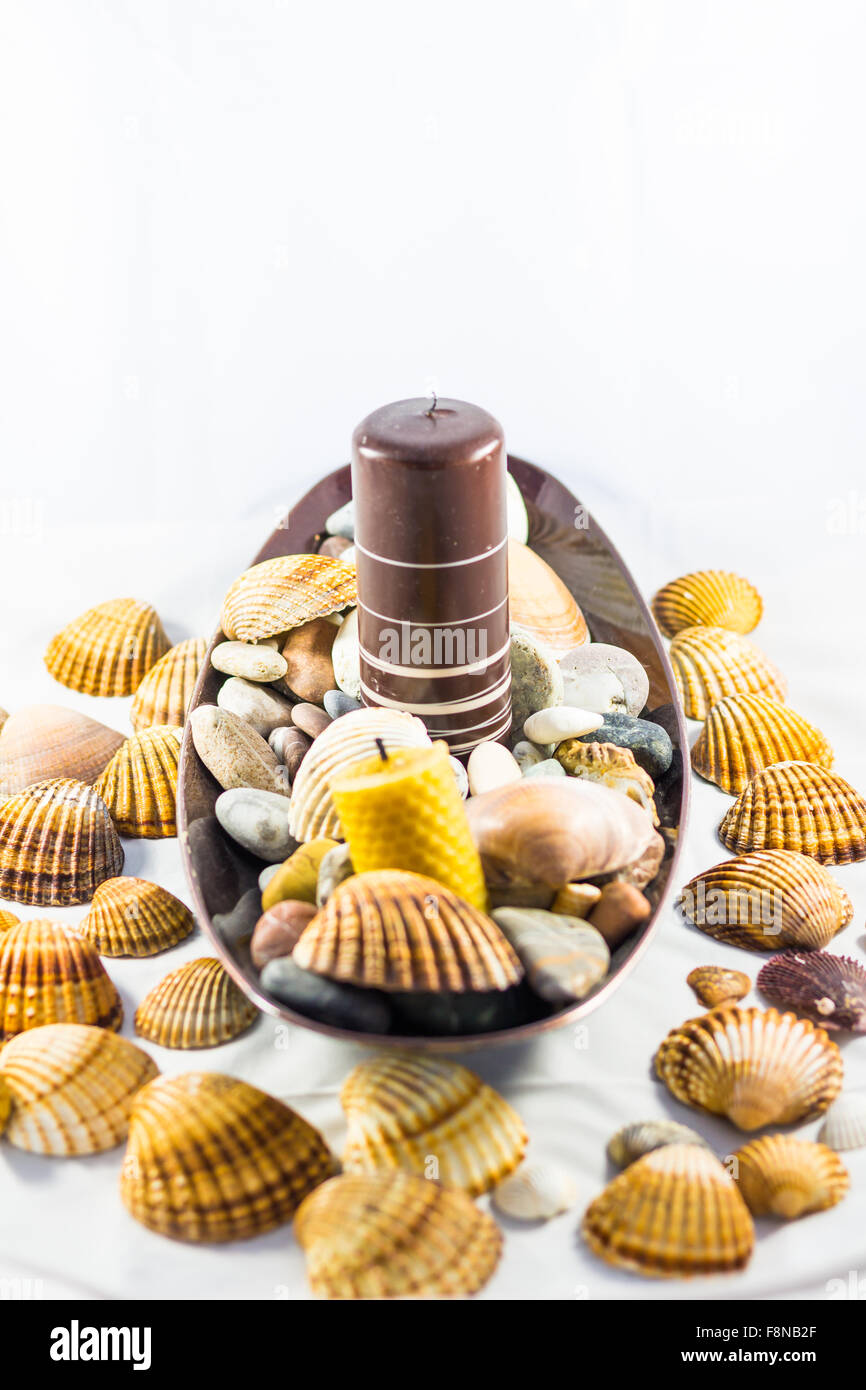 Seashells On The Seashore