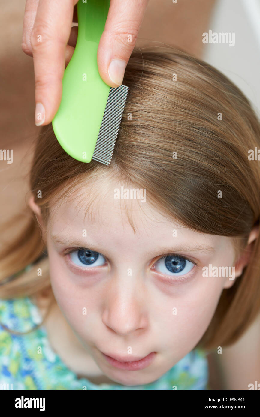 Mother Checking Daughters Hair For Head Louse Stock Photo