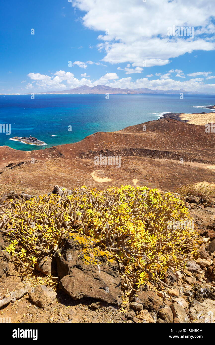 Seashore of Lobos, small island near the Fuerteventura Island, Spain, Canary Islands Stock Photo