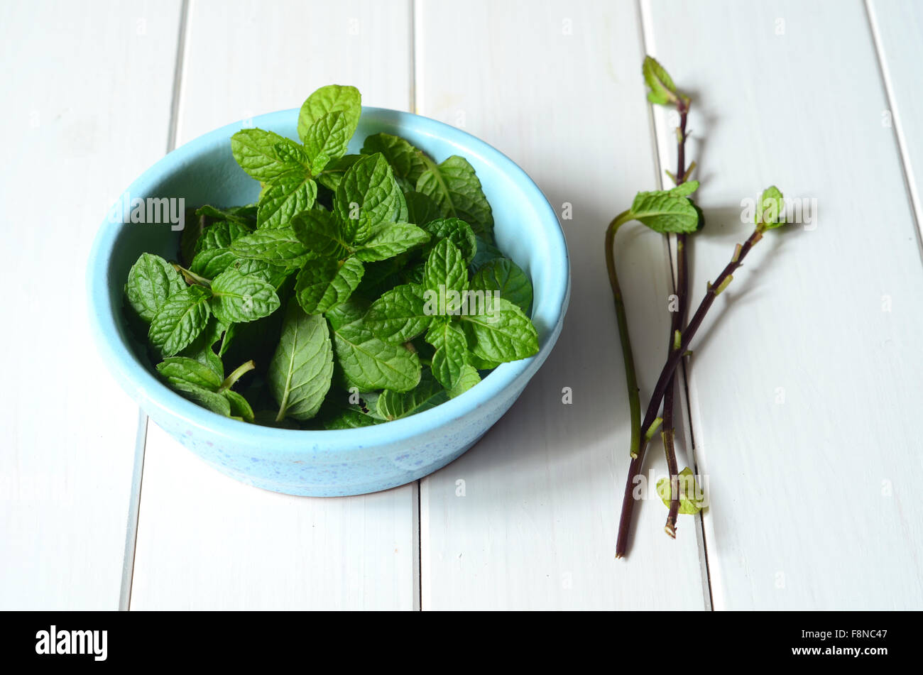 Freshly picked homegrown mint leaves Stock Photo