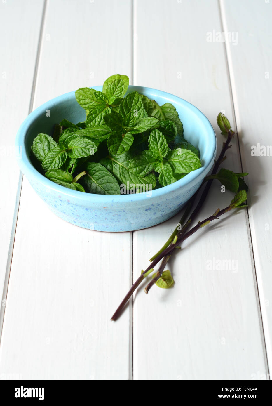 Freshly picked homegrown mint leaves Stock Photo