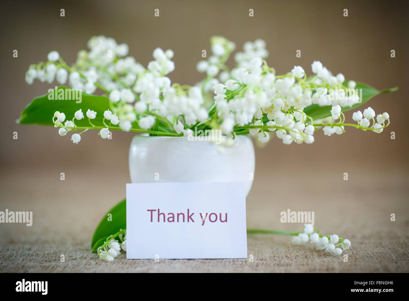 Lilies valley in vase hi-res stock photography and images - Alamy