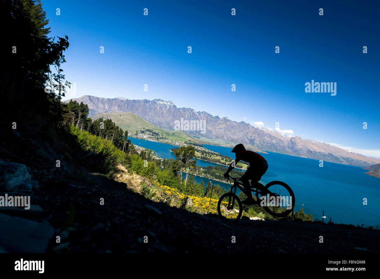 Silhouette of mountain bike rider in Queenstown, New Zealand Stock Photo