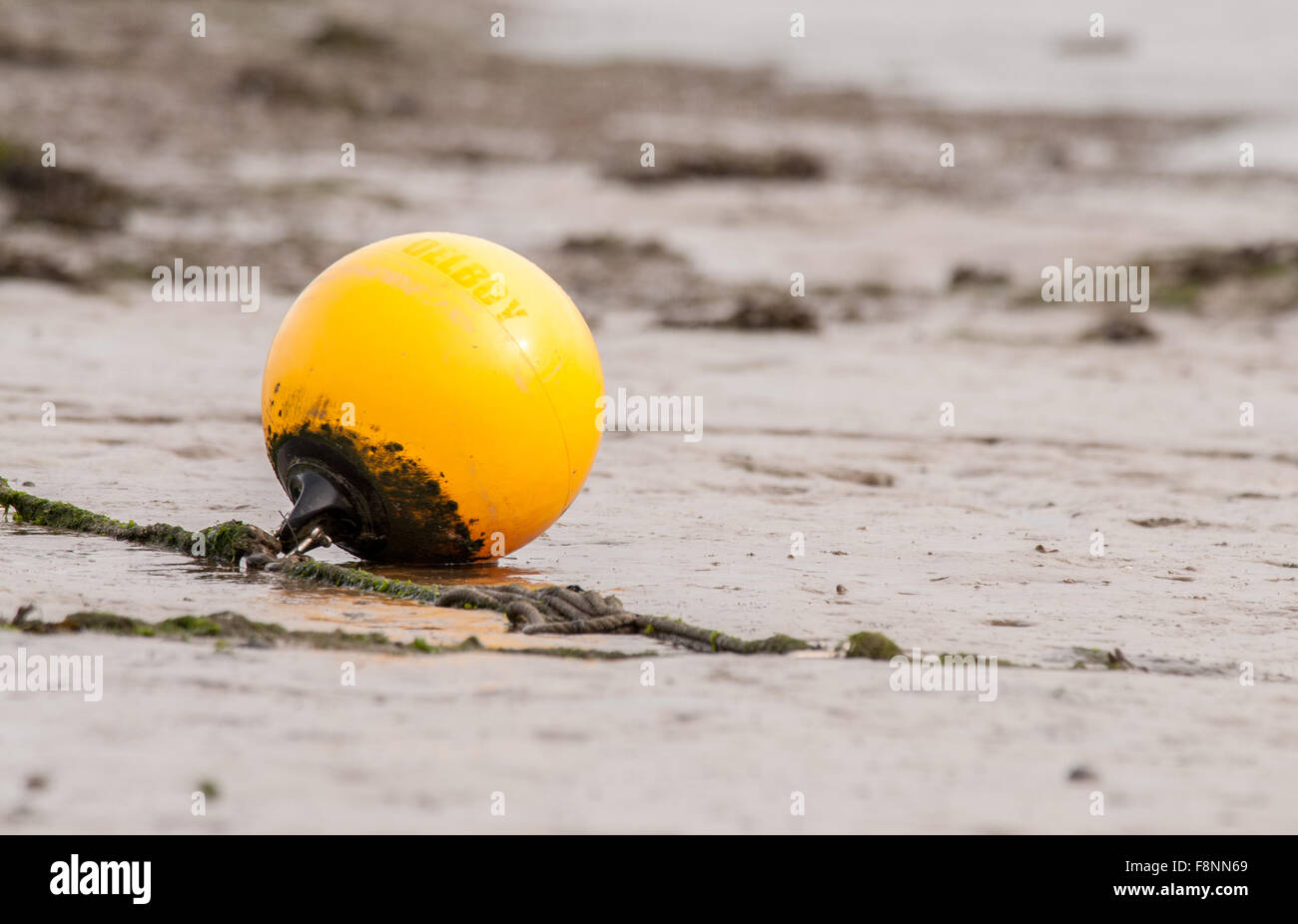 Yellow bouy on the mud flats of the Camel Estuary, Padstow, Cornwall, England. Stock Photo