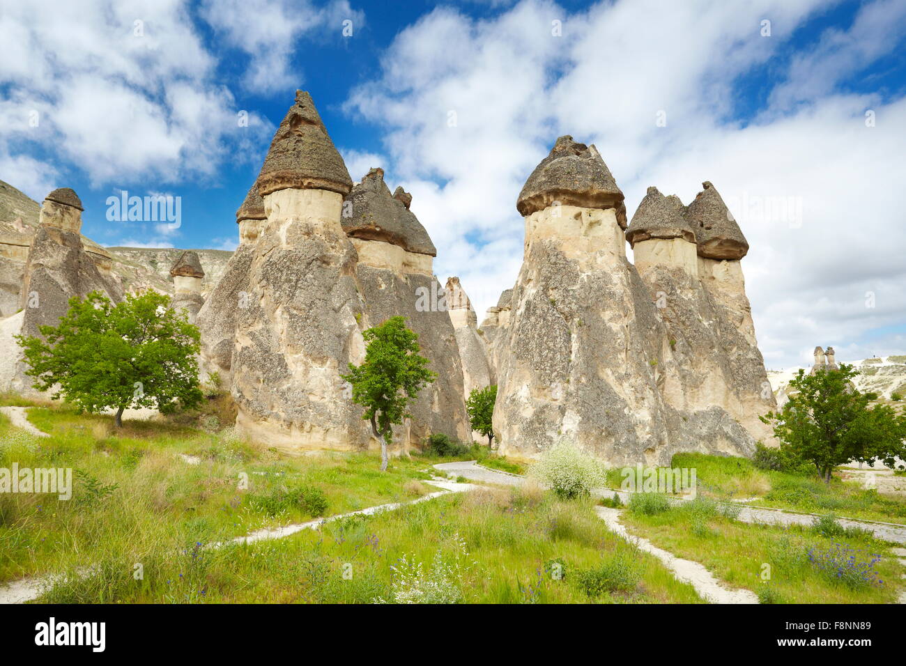 Cappadocia - Turkey, stone formations near Zelve, UNESCO Stock Photo