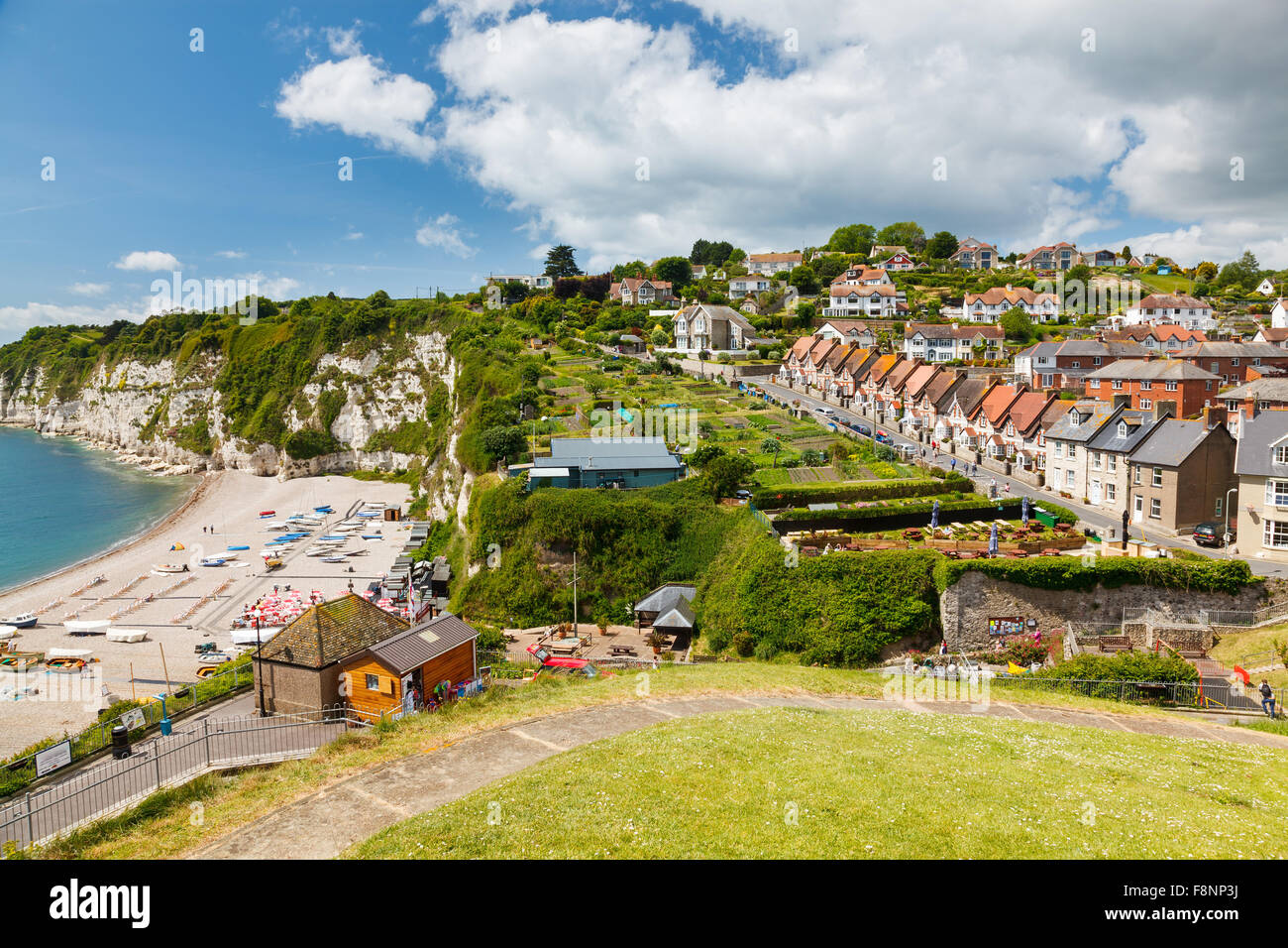 Overlooking the beach village at Beer in Lyme Bay Devon England UK Europe Stock Photo