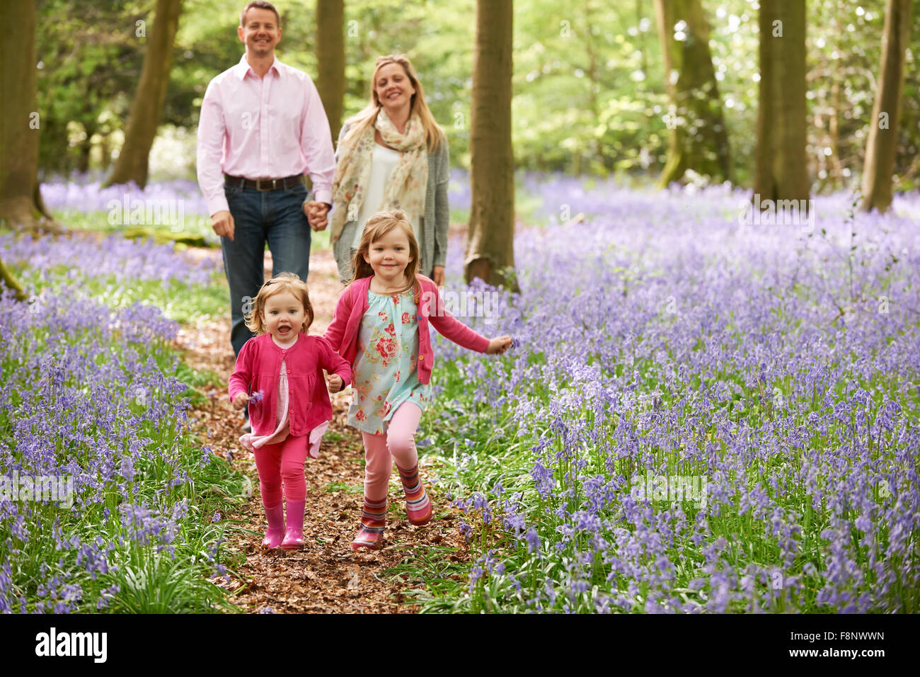 Family Walking Through Bluebell Woods Together Stock Photo