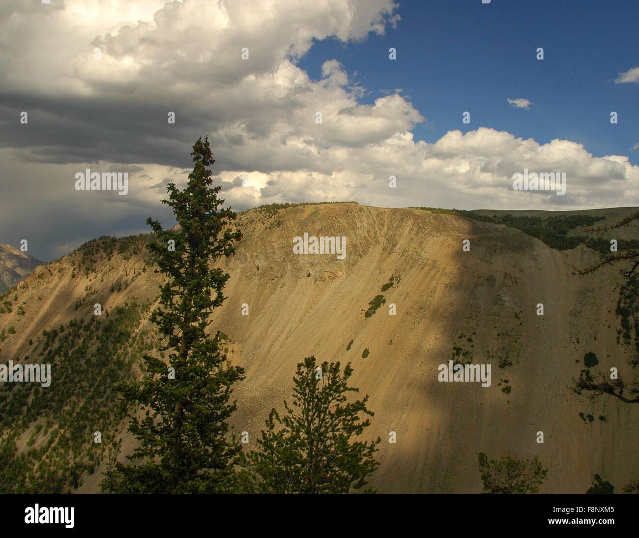 On Top of the World (Beartooth) Highway, Montana/Wyoming, USA. Stock Photo
