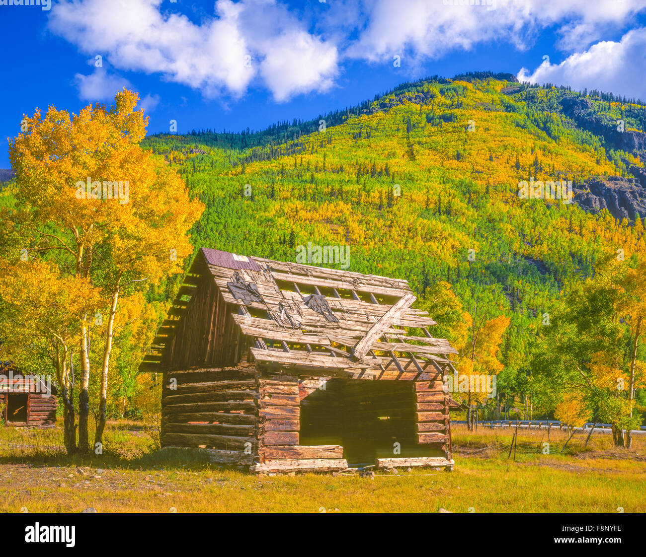 Cabin at Capitol City, Uncompahgre National Forest, Colorado, Ghost town established in 1877, Henson Creek, Engineer Pass Stock Photo