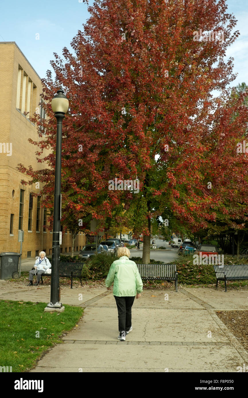 Elderly woman senior walking down a path in autumn, Vancouver, BC, Canada Stock Photo
