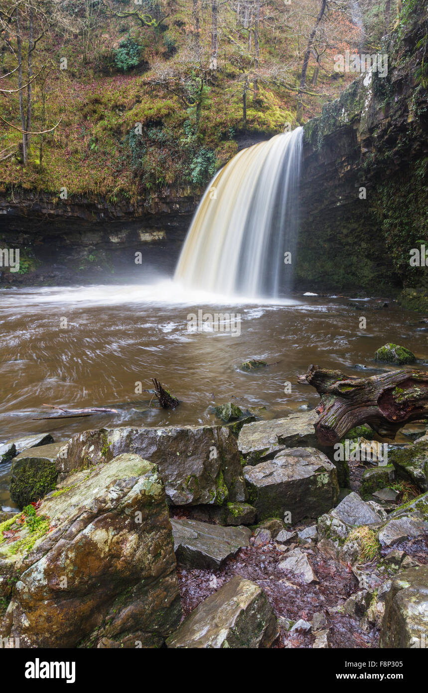 Sgwd Gwladus Falls, waterfall. Pontneddfechan, Vale of Neath, Powys