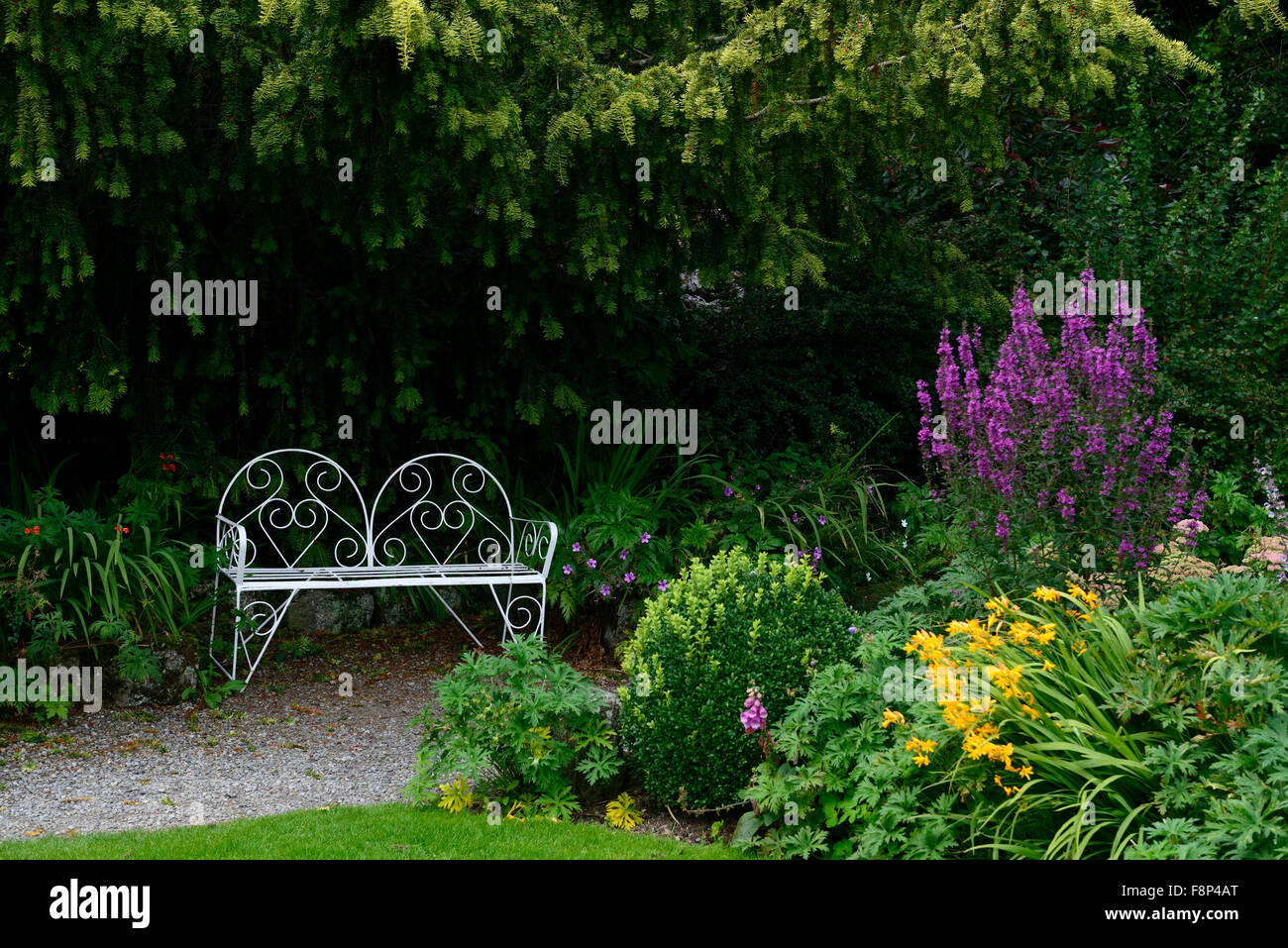 white wrought iron garden seat seating altamont gardens carlow garden furniture style RM Floral