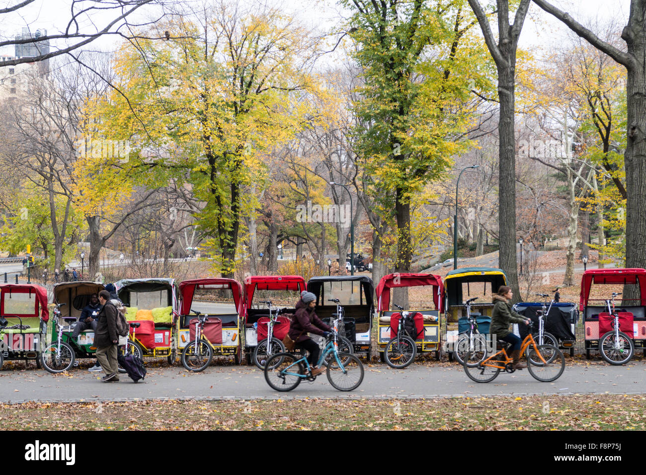 Pedicabs are Lined Up in Central Park, NYC Stock Photo