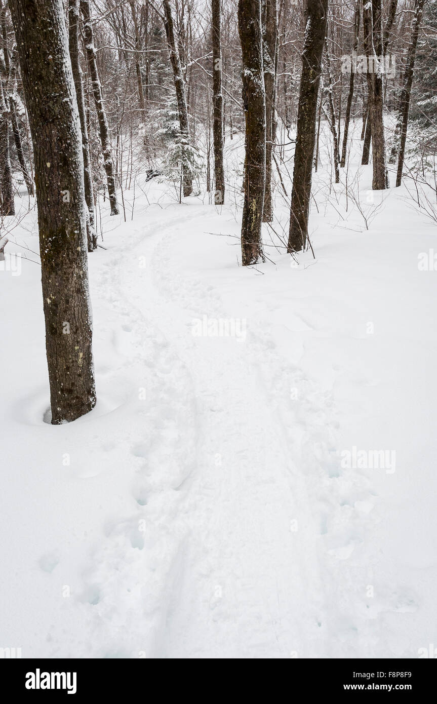 Snowshoeing trail at Parc national du Mont-Mégantic in Canada Stock Photo