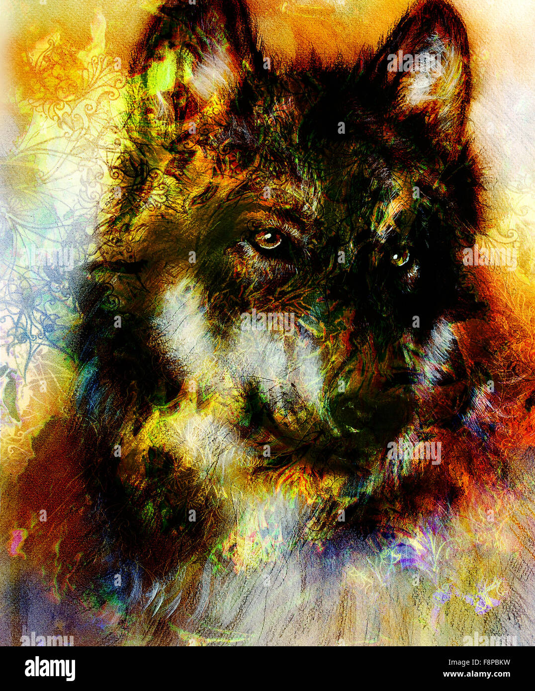 Wolf painting, color background on paper , multicolor illustration ...