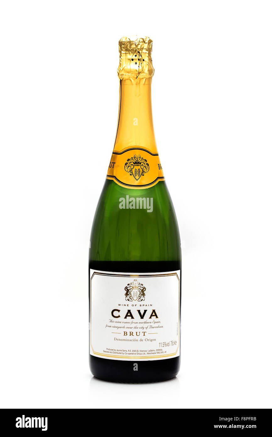 Bottle of Spanish Cava Sparkling Wine on a White Background Stock Photo -  Alamy