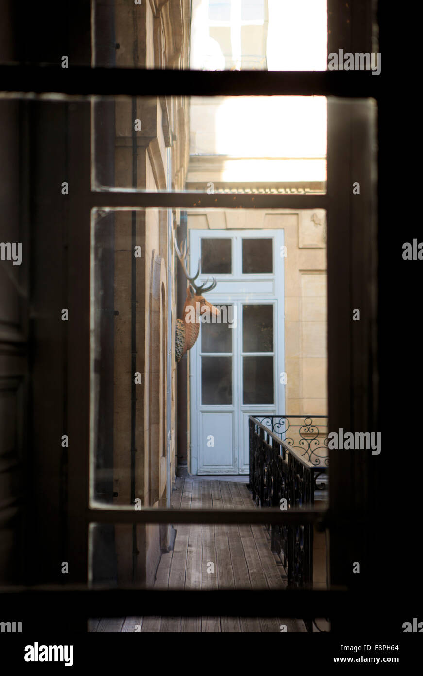 An unusually placed deer's head in a small courtyard in the Palace of Versailles, on the outskirts of Paris, France. Stock Photo