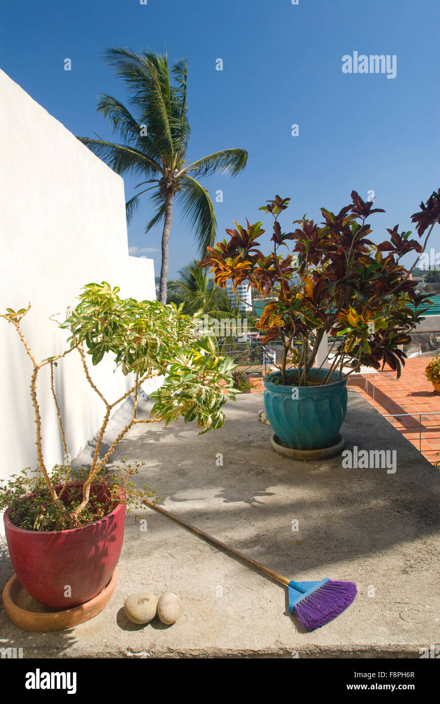 Old broom lying near flower pots on rooftop garden in Acapulco, Mexico Stock Photo