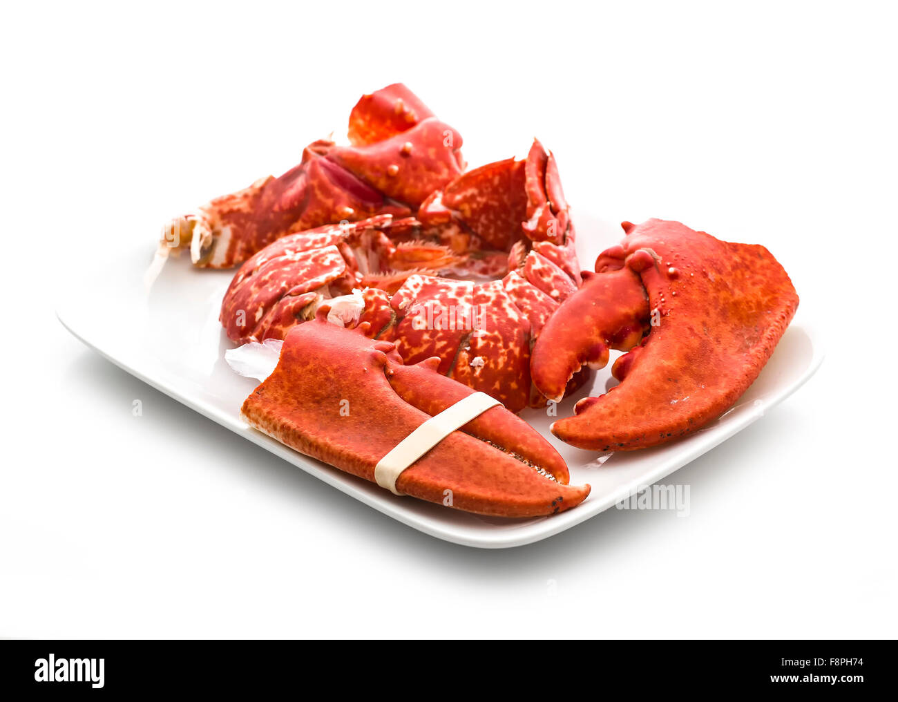 Claws and Tail of a Cooked European Common Lobster isolated on a white