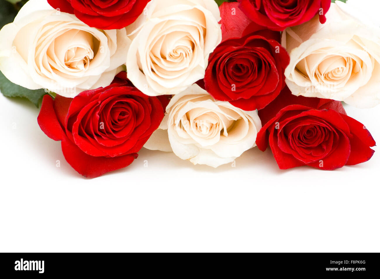 Red and white roses isolated on white Stock Photo - Alamy