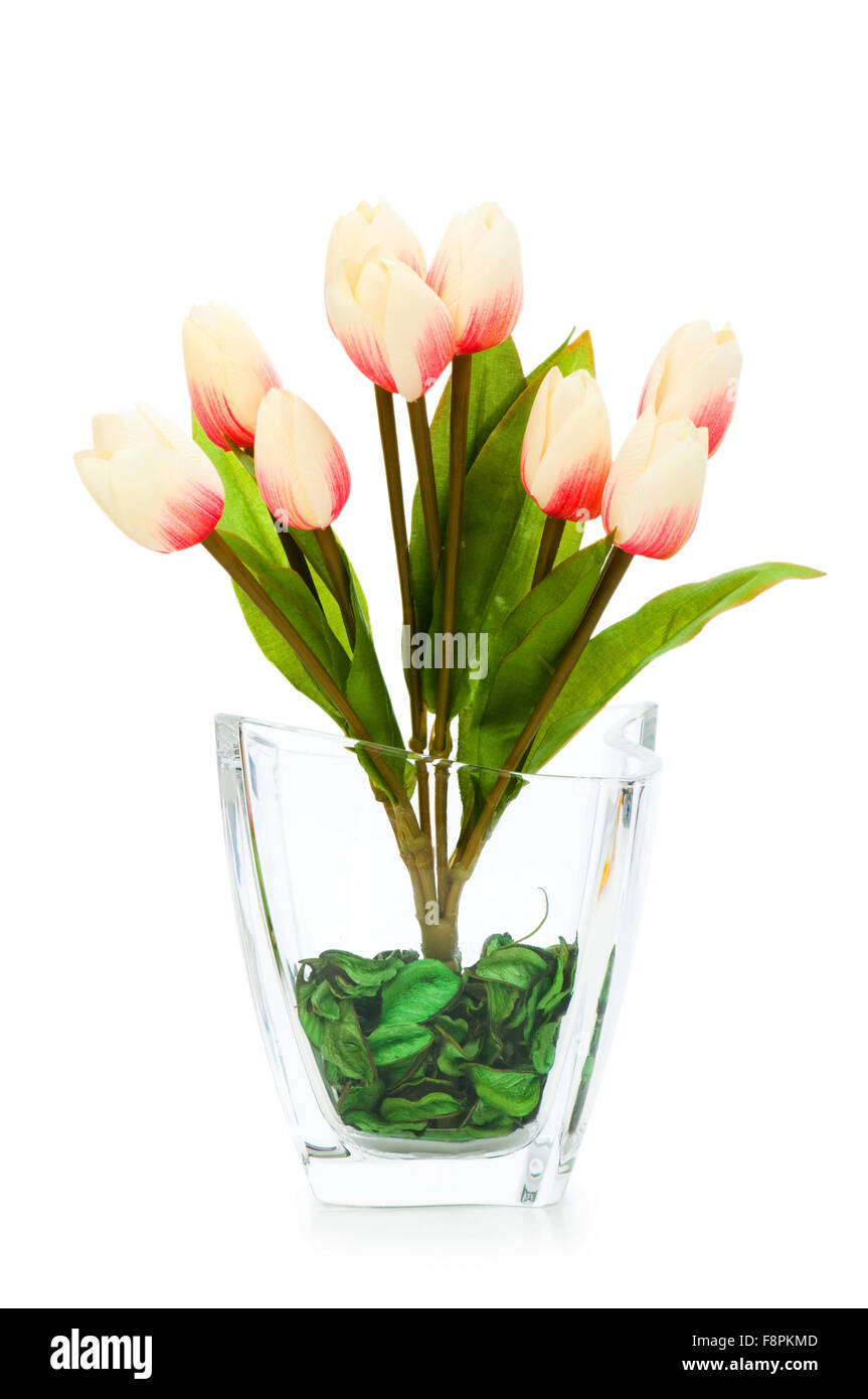 Colourful tulips isolated on the white background Stock Photo - Alamy