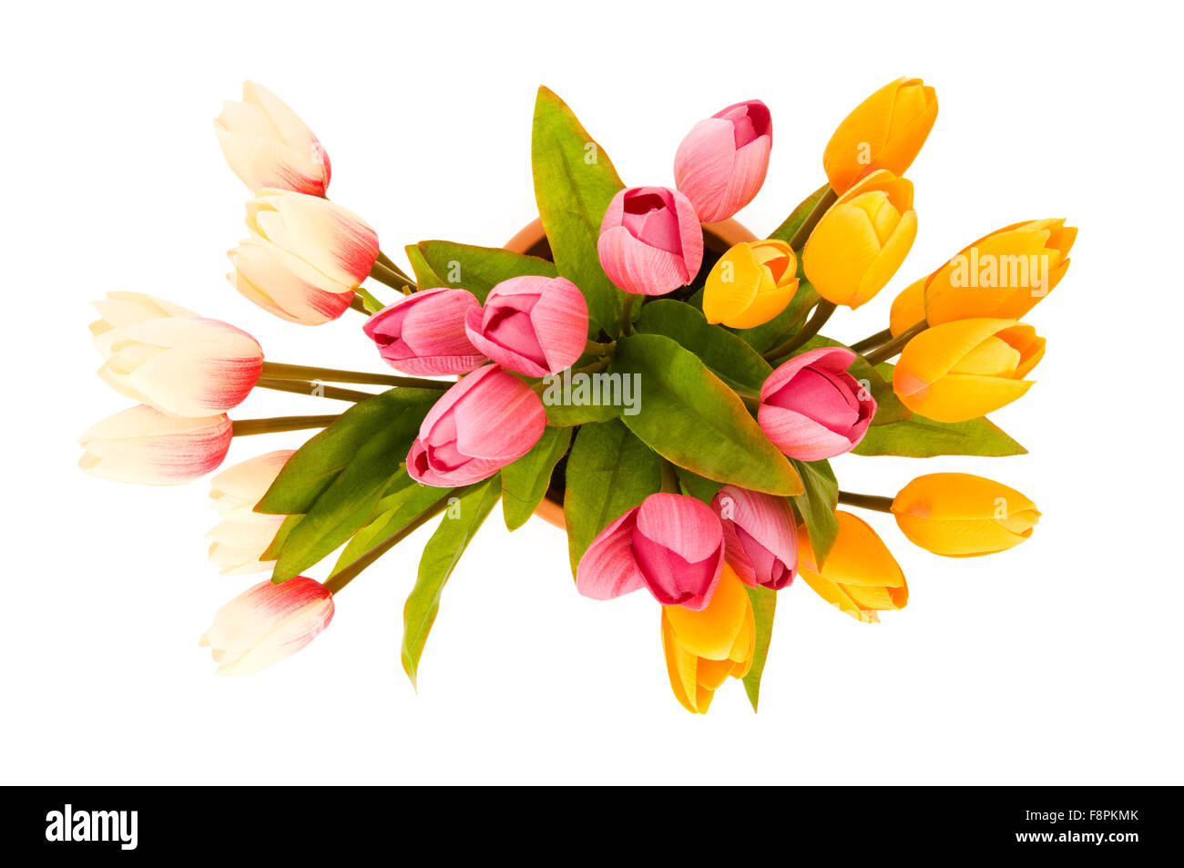 Colourful tulips isolated on the white background Stock Photo - Alamy