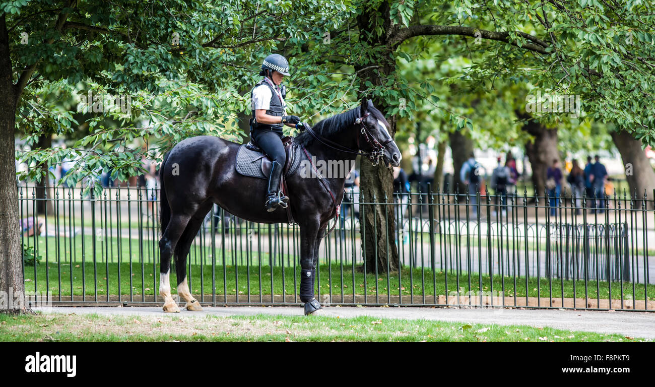 Police Horse used to police the six protesters from New Fathers 4 Justice Stock Photo
