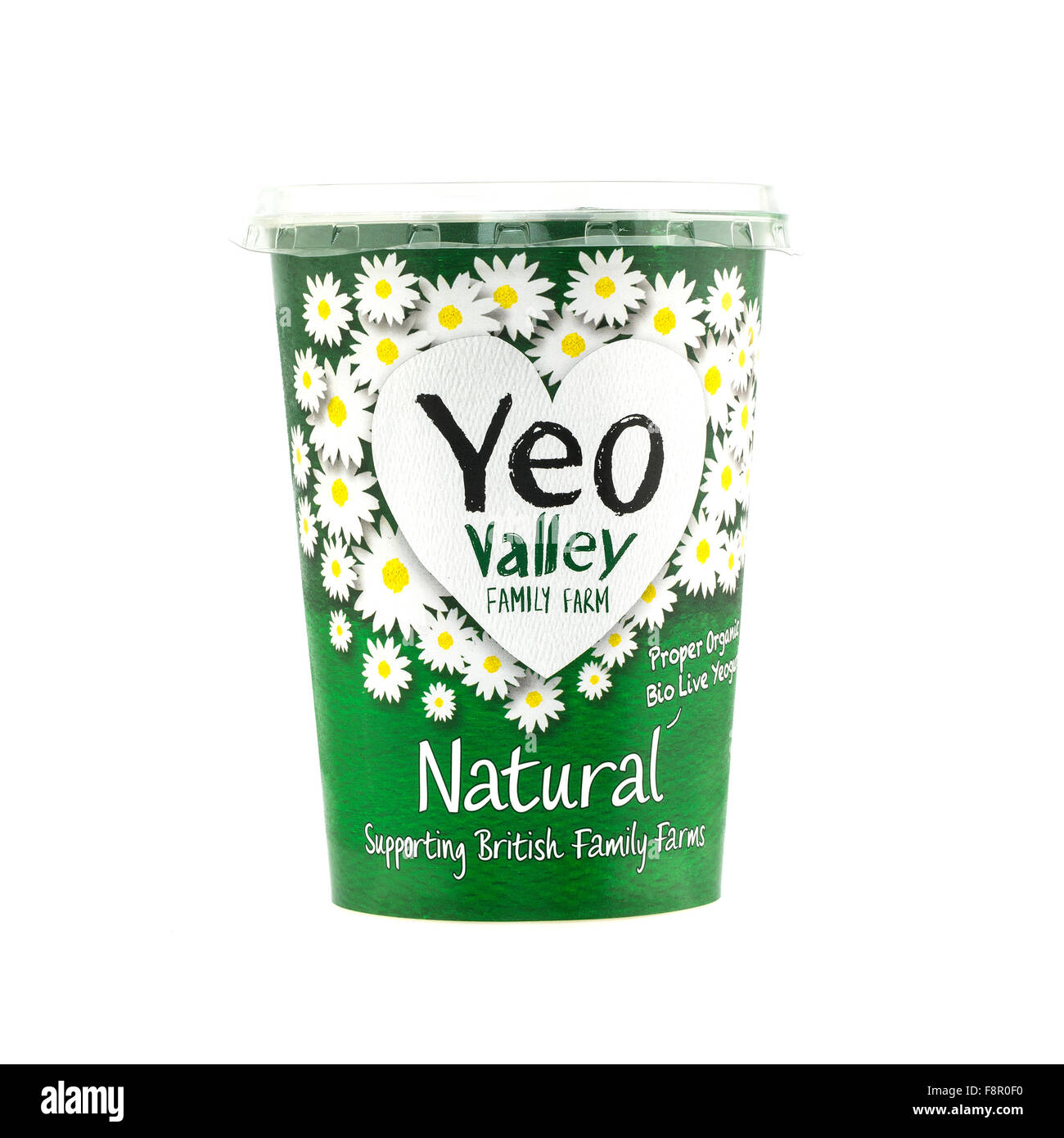 Yeo Valley Natural Yogurt on a White Background Stock Photo