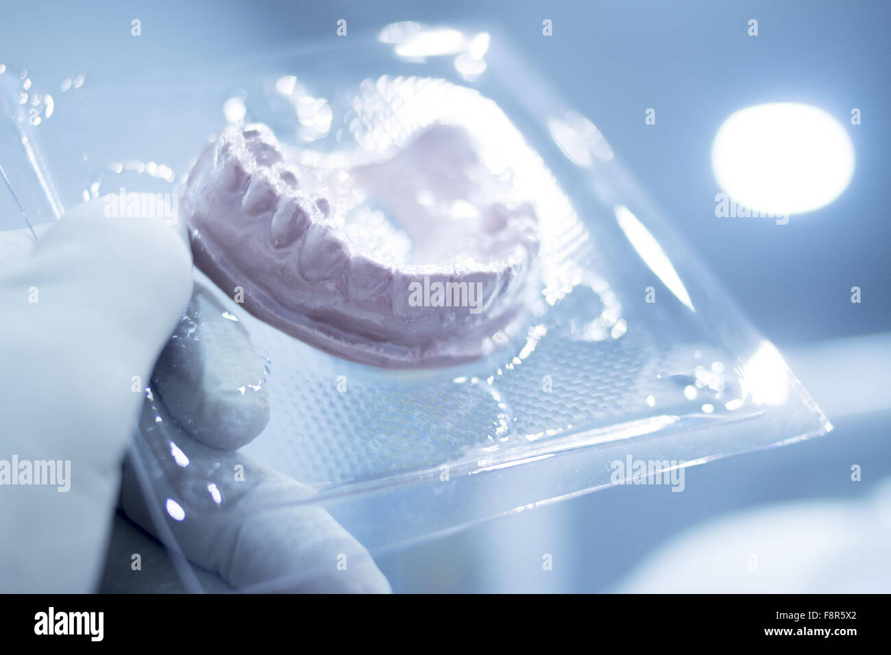 Dental mold dentist clay teeth plate ceramic colored cast model in steril plastic vacuum wrap