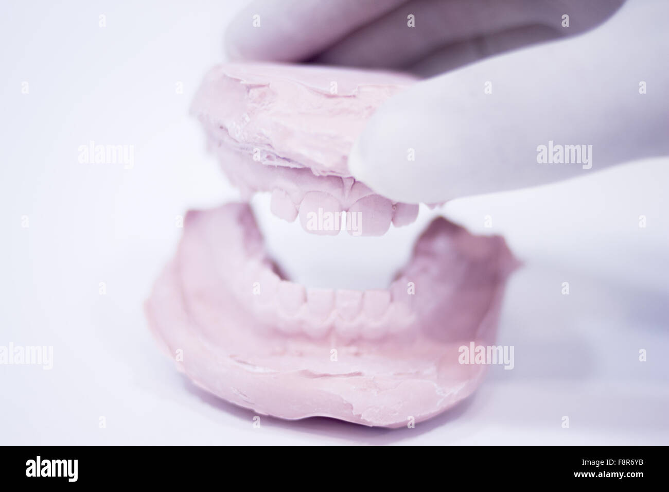clay teeth model