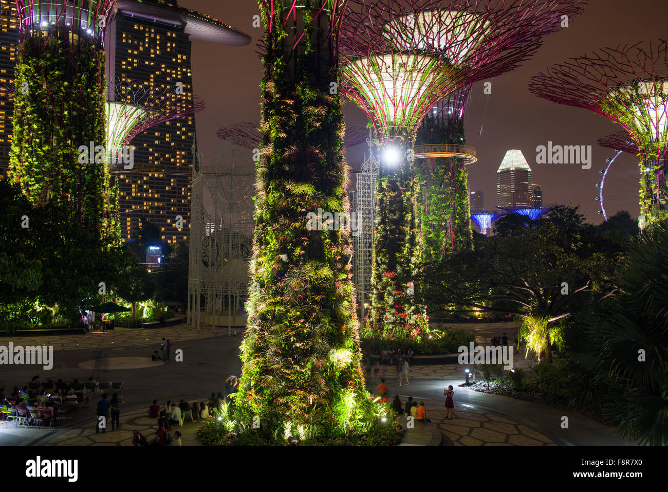 Singapore gardens by the bay hi-res stock photography and images - Alamy