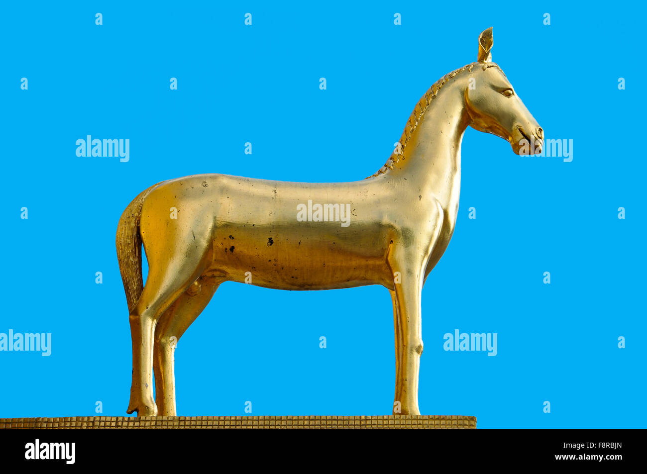 Golden Horse Statue High Resolution Stock Photography And Images Alamy