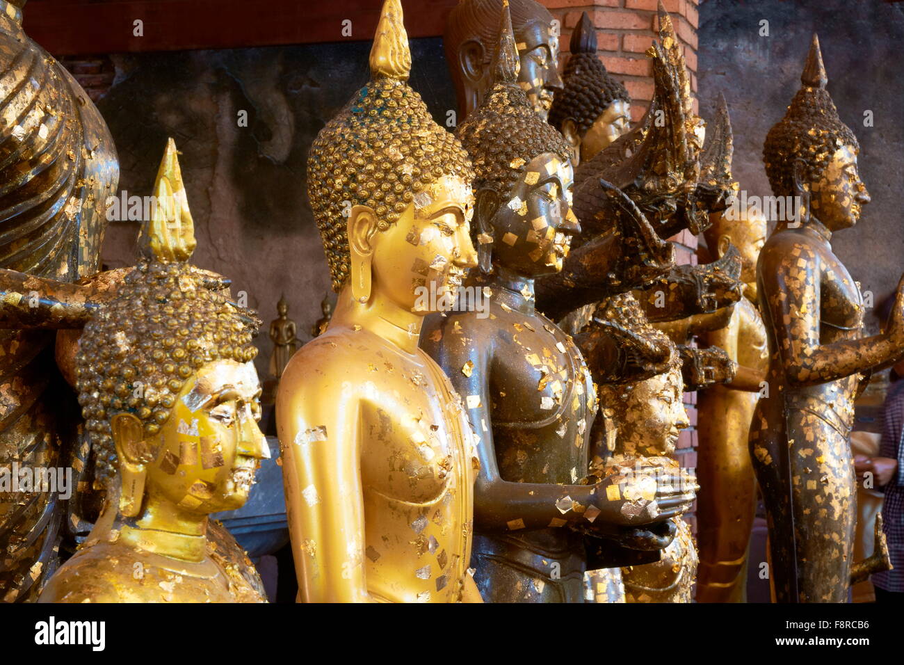 Thailand - Ayutthaya, Wat Yai Chaya Mongkol Temple, golden Buddha statues, UNESCO Stock Photo