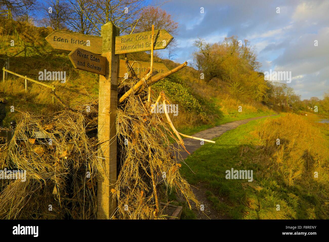 Aftermath of Carlisle Floods. 6th December 2015. Foot path sign showing flotsam illustrating height of flooded River Eden caused by Storm Desmond. Carlisle, Cumbria, England, UK. Stock Photo