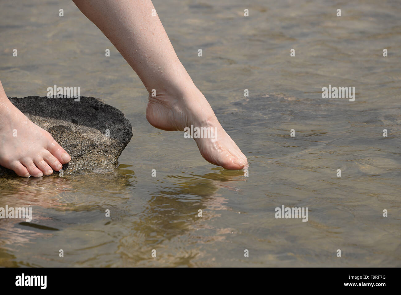 https://c8.alamy.com/comp/F8RF7G/woman-dipping-her-toes-in-the-sea-F8RF7G.jpg
