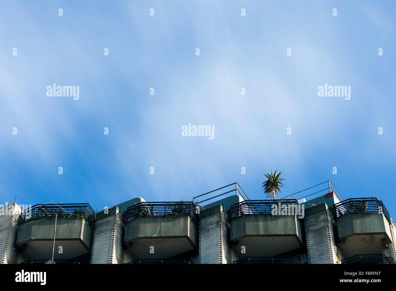 Balcony and Palm. © Miguel Gomez Stock Photo