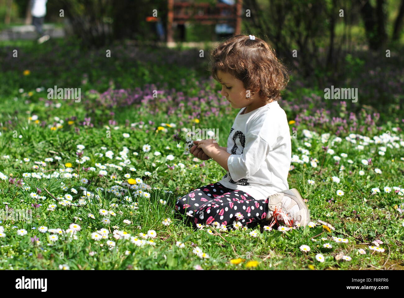 Girl picking spring flowers Stock Photo