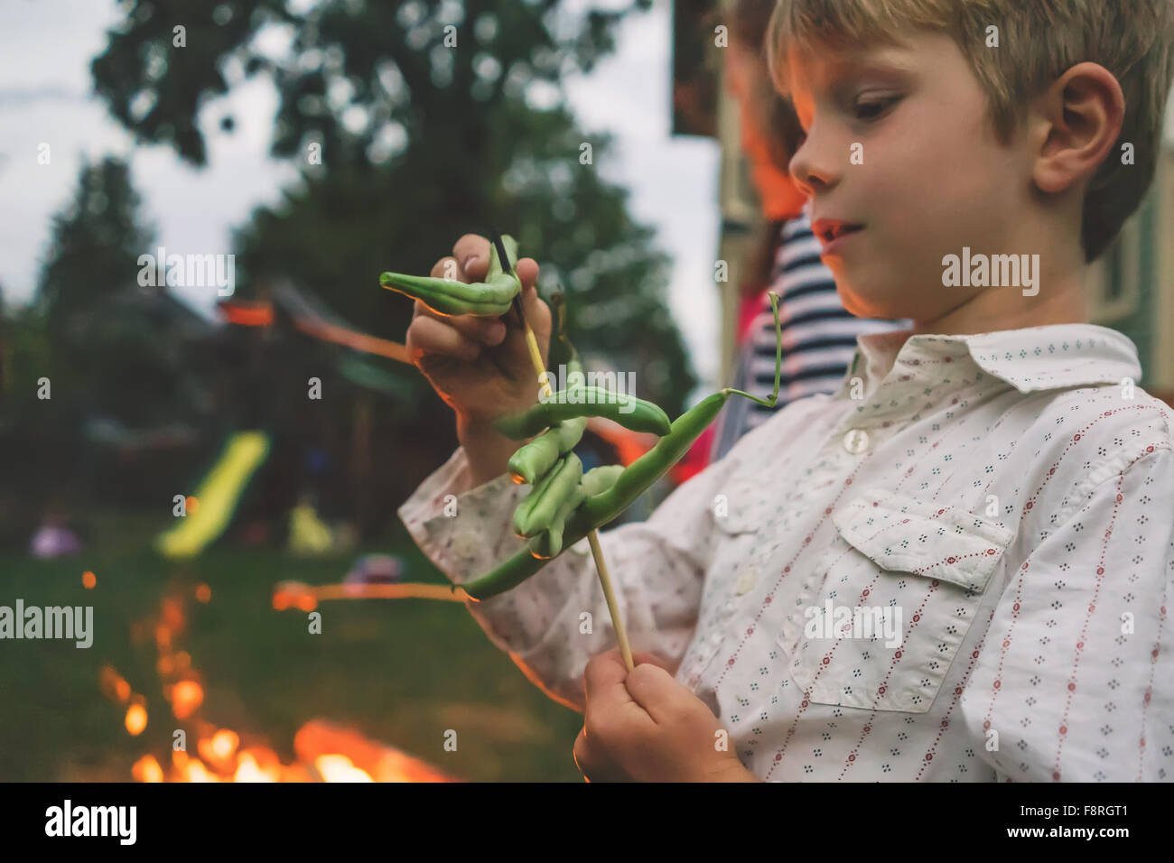 Young boy roasting green beans over camp fire Stock Photo