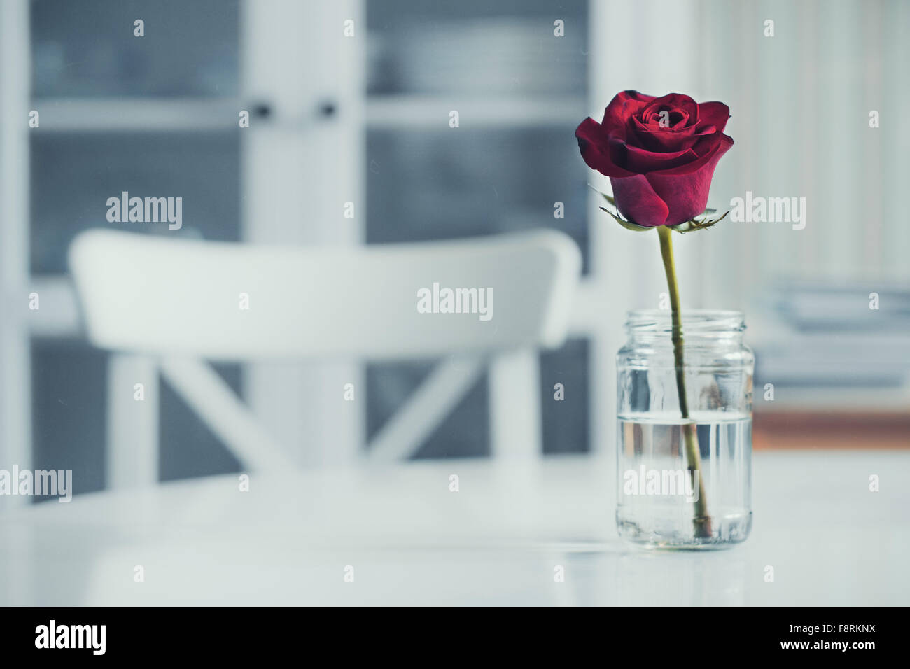 Rose in a glass jar on dining room table Stock Photo