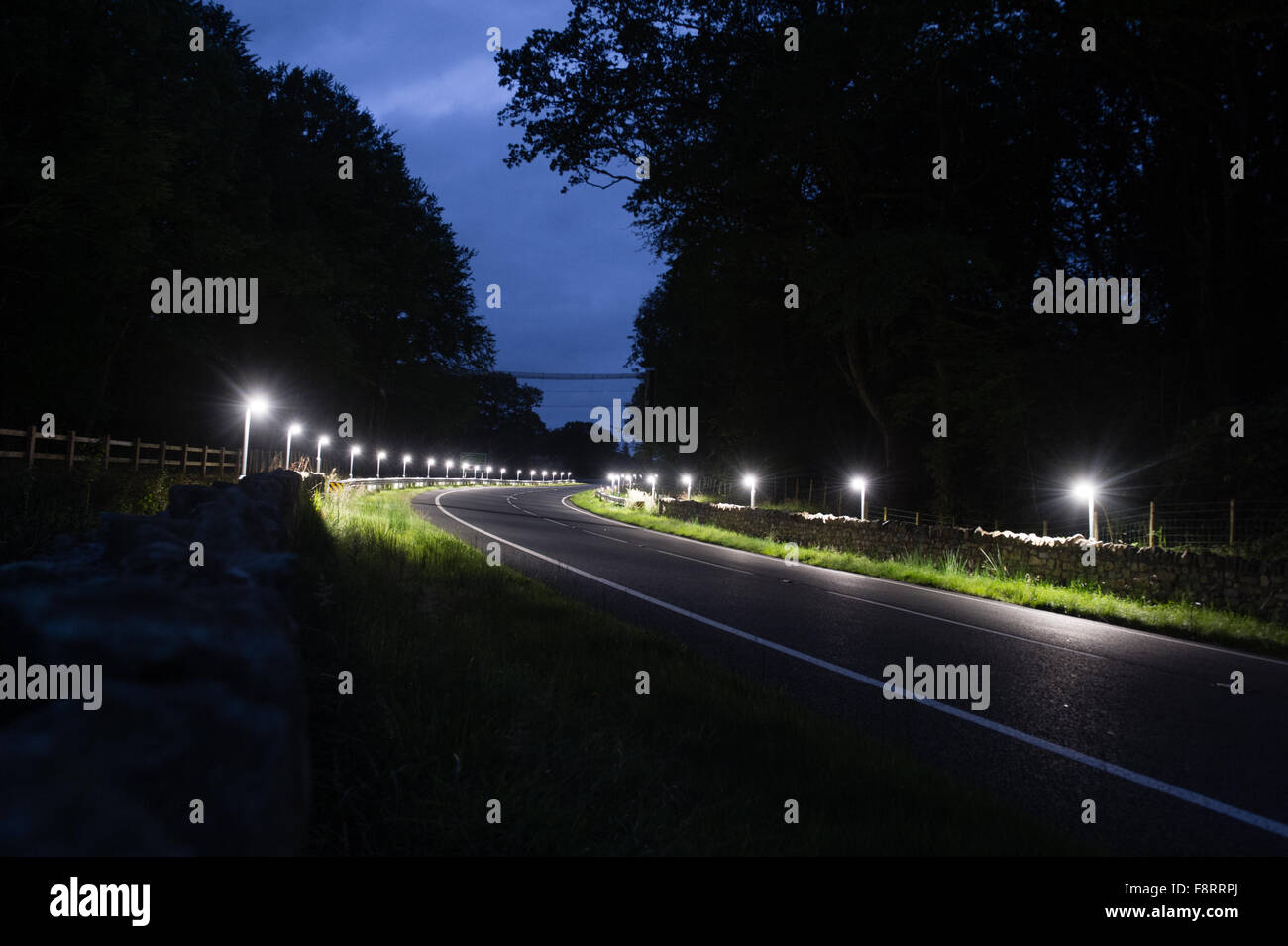 'Batlights' on the A470 trunk road near Dolgellau Gwynedd North Wales, designed to deter bats from flying low into the path of oncoming traffic on  stretch of new road that bisects one of their traditional flight paths through old deciduous oak woodland. Stock Photo