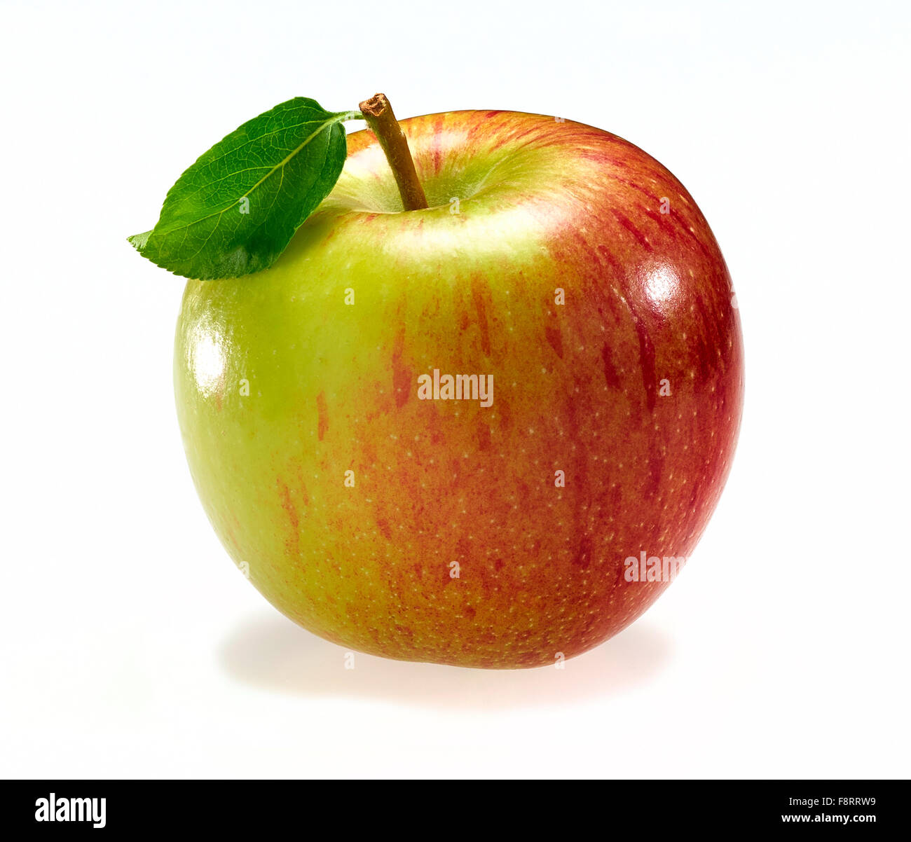 apples Stock Photo