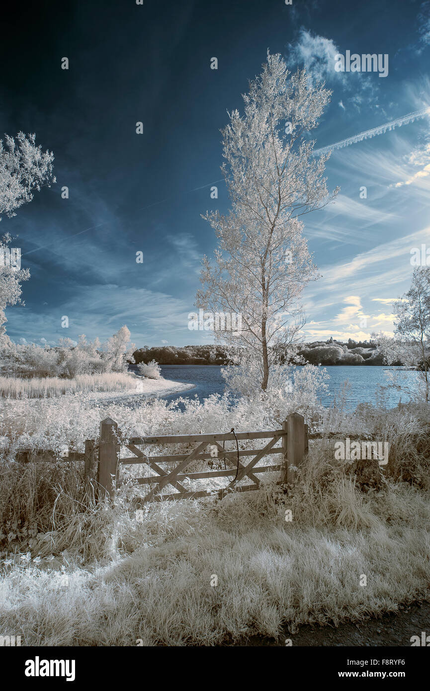 Infrared landscape of lake in English countryside in Summer with surreal colors Stock Photo