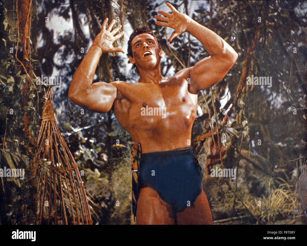 Tarzan and the Trappers, aka: Tarzan und die Jäger, USA 1958, Regie: Charles F. Haas, Darsteller: Gordon Scott Stock Photo