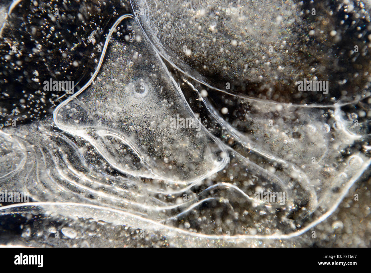 Air bubbles in ice Stock Photo Alamy
