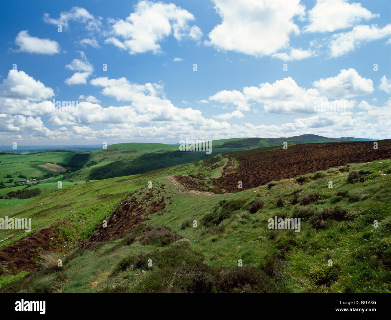 View SE along E ramparts of Penycloddiau hillfort, Flintshire, with Wheeler Valley to L & Moel Famau rear R. Heather is burnt to encourage new growth. Stock Photo